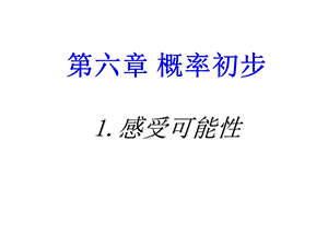 感受可能性 课件.ppt