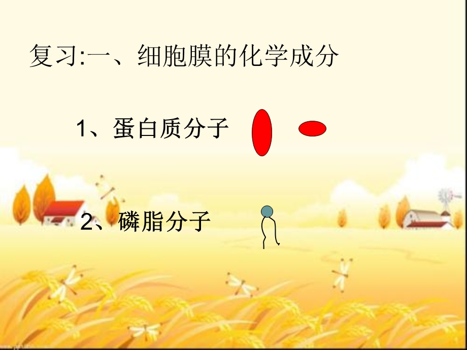 物质跨膜运输的方式公开课课件 课件.ppt_第2页