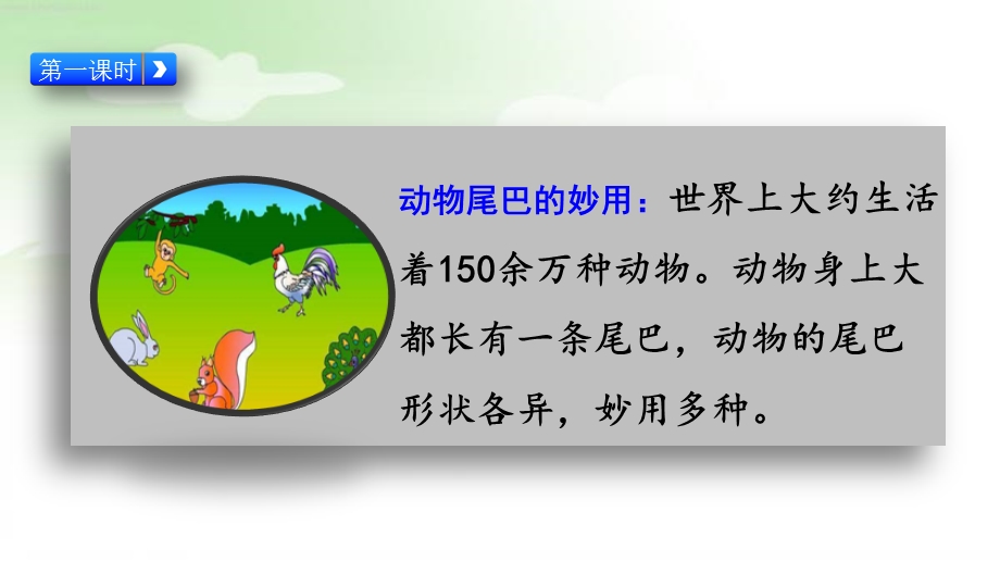 部编五四制一上语文6比尾巴ppt课件.pptx_第3页