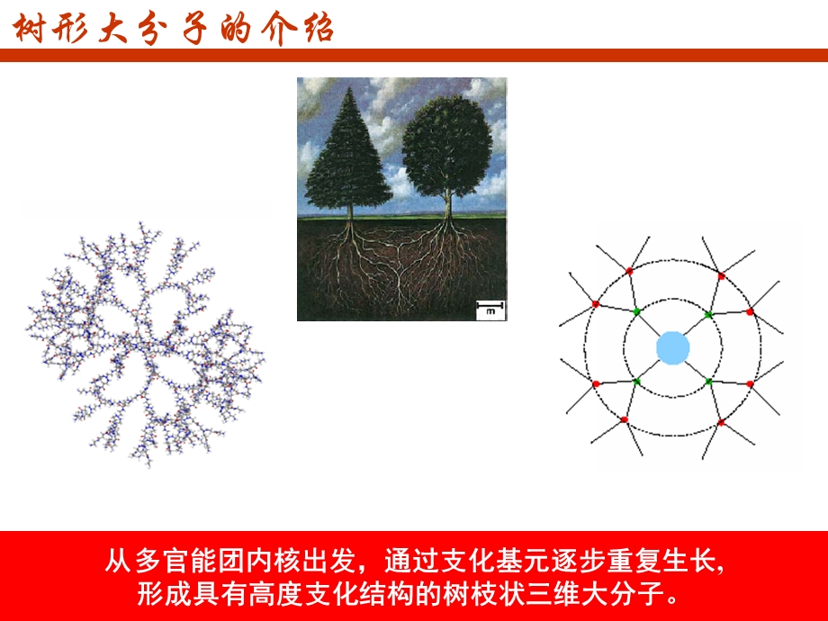 树形大分子的研究进展课件.ppt_第2页