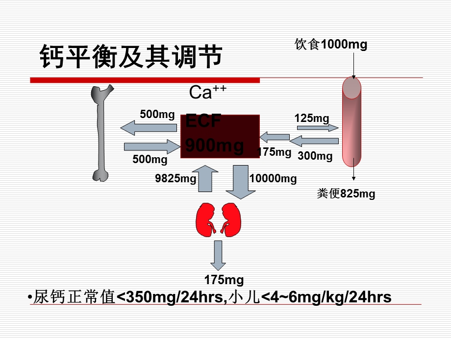 骨软化症的诊断和治疗课件.ppt_第3页