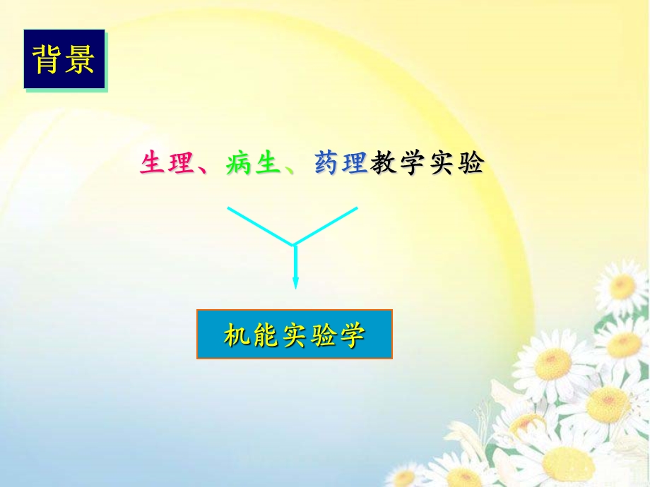 机能实验学2概述课件.ppt_第2页