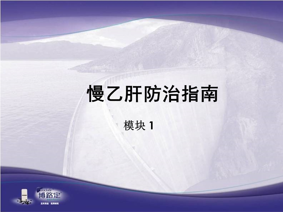 慢乙肝防治指南课件.ppt_第1页