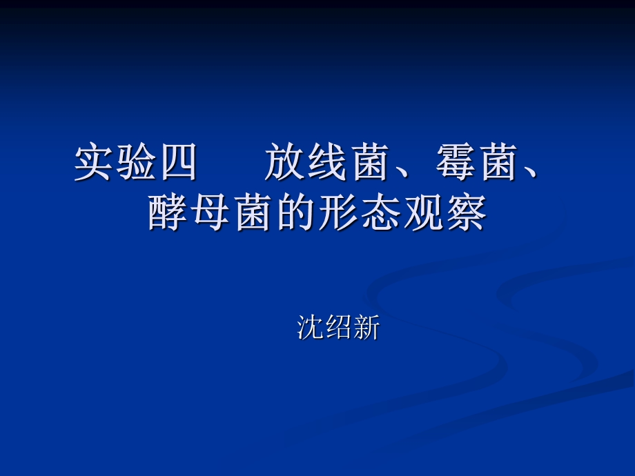 放线菌霉菌酵母菌的形态观察课件.ppt_第1页