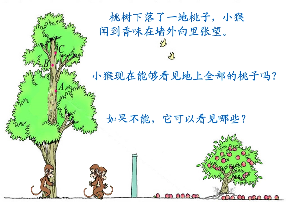 新北师大版小学数学六年级《观察的范围》资料课件.ppt_第3页