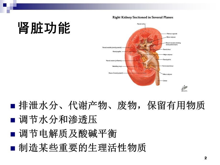 生化——肾功能课件.ppt_第2页