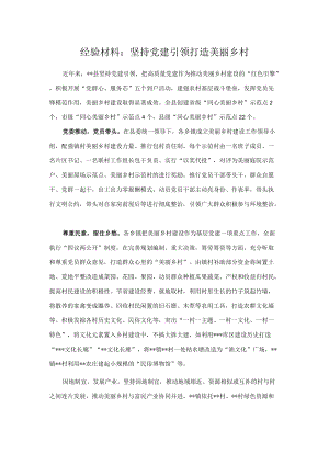 经验材料：坚持党建引领 打造美丽乡村.docx