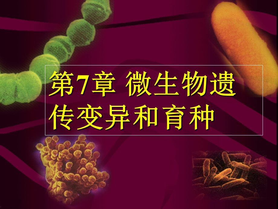 微生物ppt课件 第7章.ppt_第1页