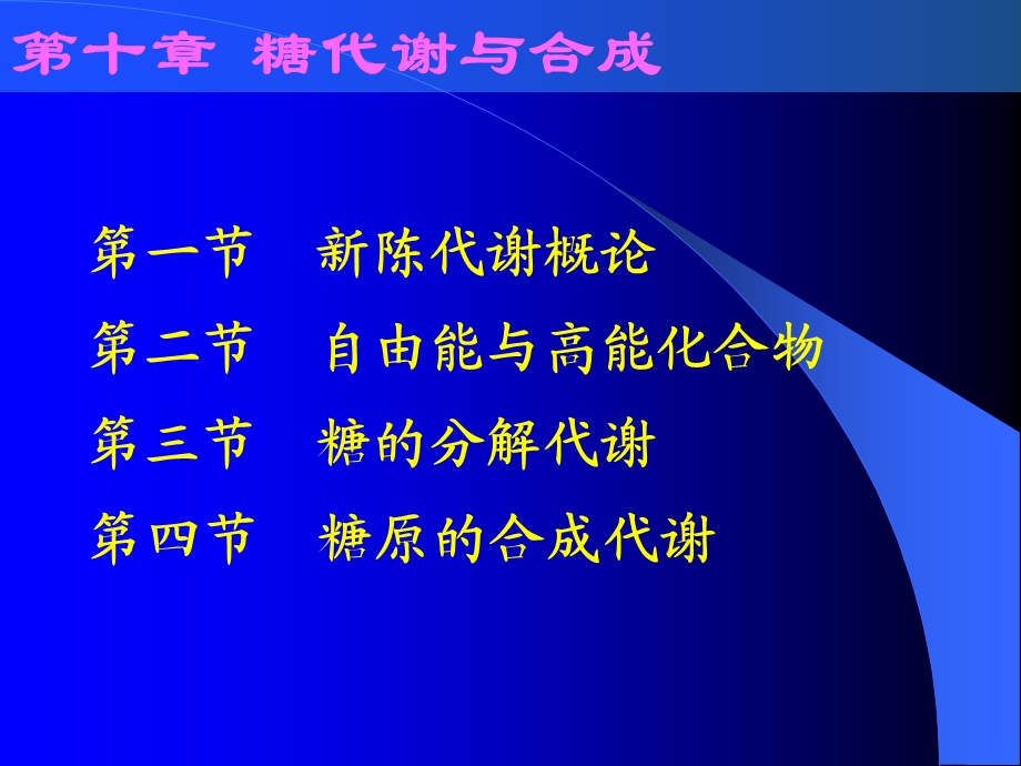 生物化学 ppt课件 第十章.ppt_第1页