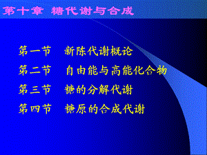 生物化学 ppt课件 第十章.ppt