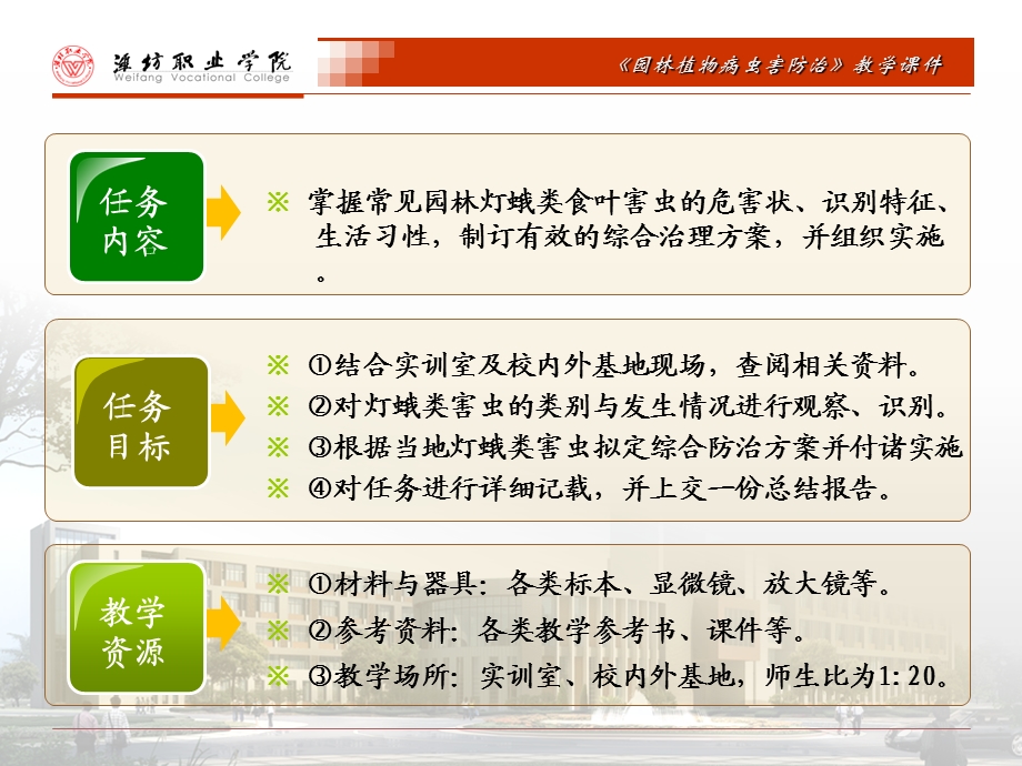 灯蛾类的综合防治课件.ppt_第3页