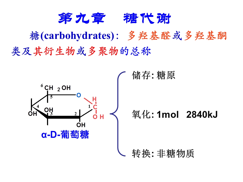 生物化学ppt课件基地班糖代谢.ppt_第2页