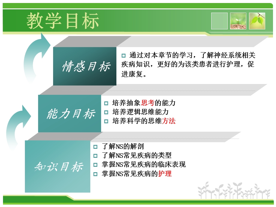 应知应会神经系统课件.ppt_第2页