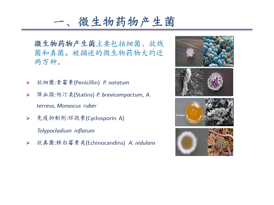 微生物药物产生菌菌种的保藏与质量控制课件.pptx_第3页