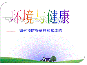 环境与健康——如何预防登革热和禽流感课件.ppt