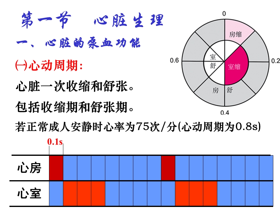 循环生理(专)基概课件.ppt_第3页