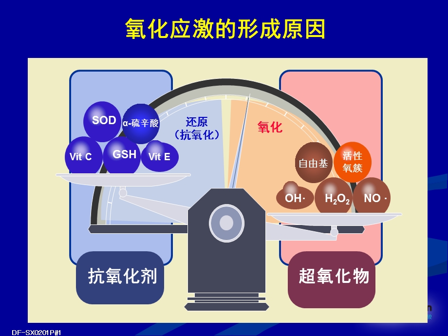 抗氧化应激糖尿病神经病变病因治疗的新靶点课件.ppt_第3页