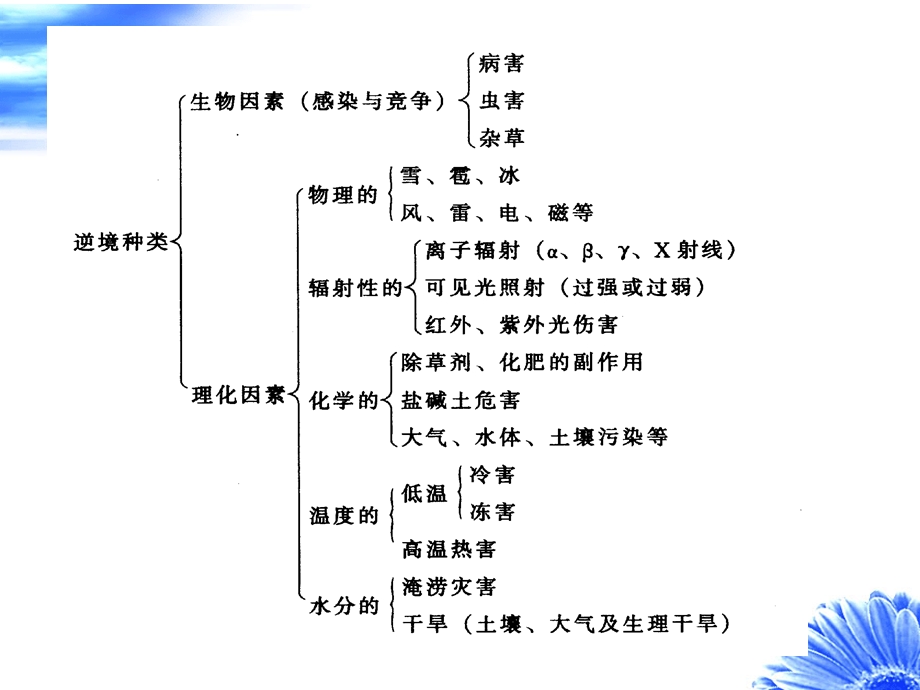 植物生理学 第十三章 植物的逆境生理课件.ppt_第3页