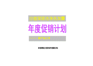 沙宣深层洁净洗发露策划方案.docx