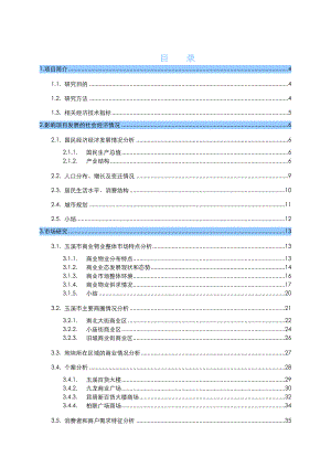 沃尔玛购物广场项目研究与策划报告.docx