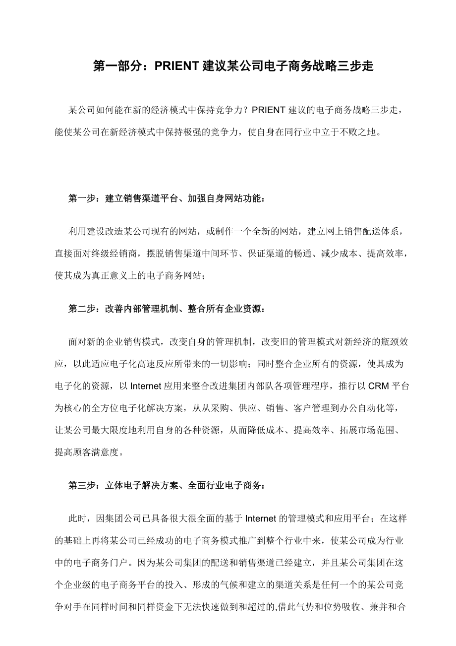 红牛电子商务发展战略实施步骤大纲.docx_第2页