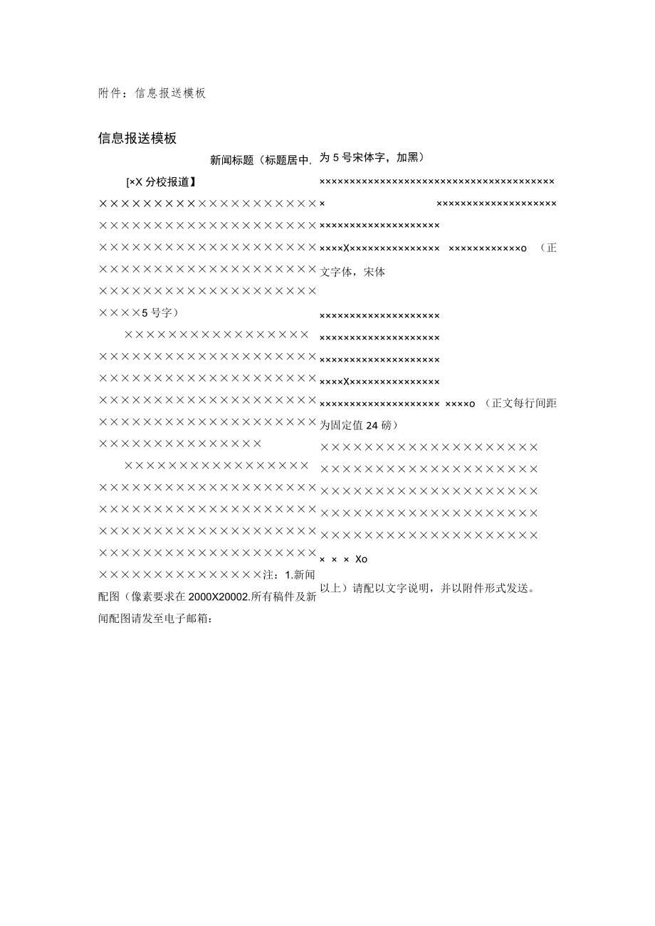 大学信息报送模板.docx_第1页