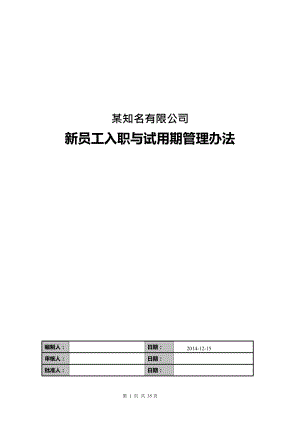 某某知名公司新员工入职与试用期管理办法.doc