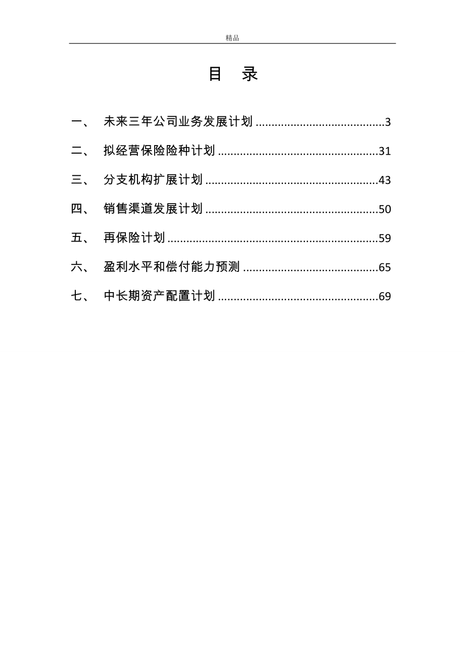 某财产保险股份有限公司未来三年发展计划(全).docx_第2页