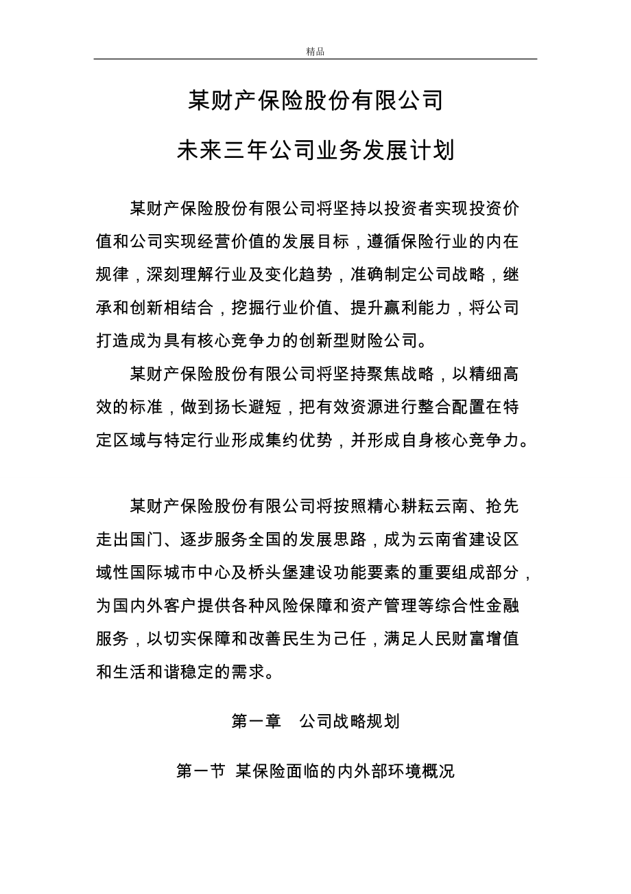 某财产保险股份有限公司未来三年发展计划(全).docx_第3页