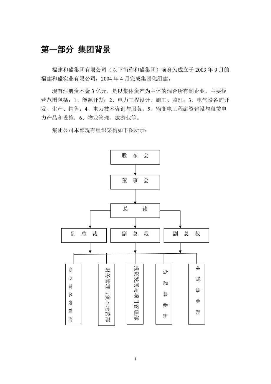 某集团有限公司发展战略.docx_第2页