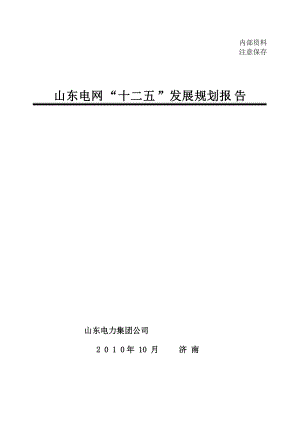 电网十二五发展规划报告.docx