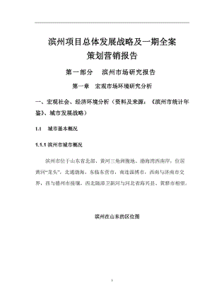 滨州项目总体发展战略及一期全案策划营销报告(doc 70).docx