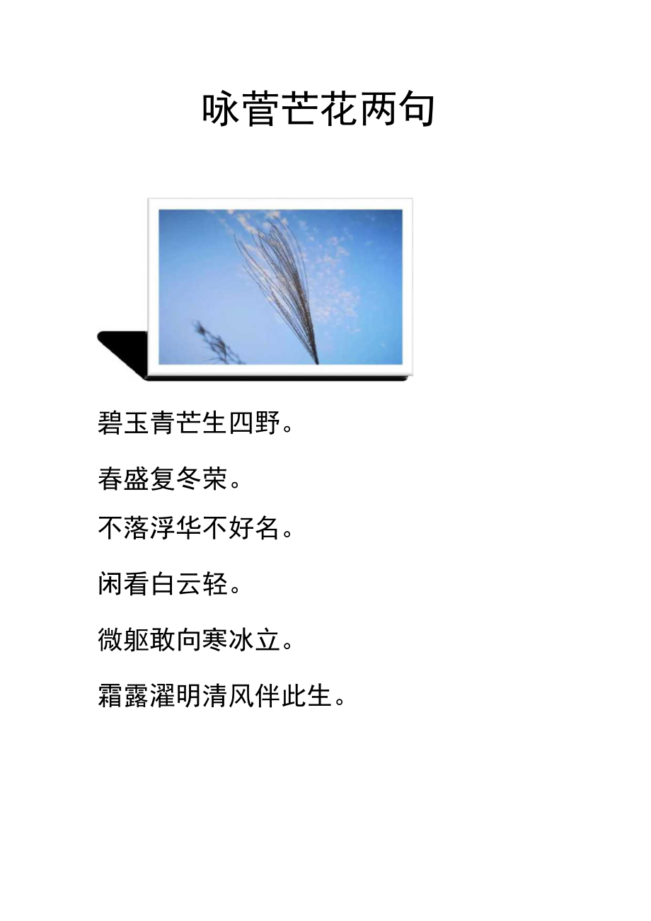 咏菅芒花两句.docx_第1页