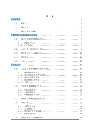 某购物广场项目研究与策划报告.docx