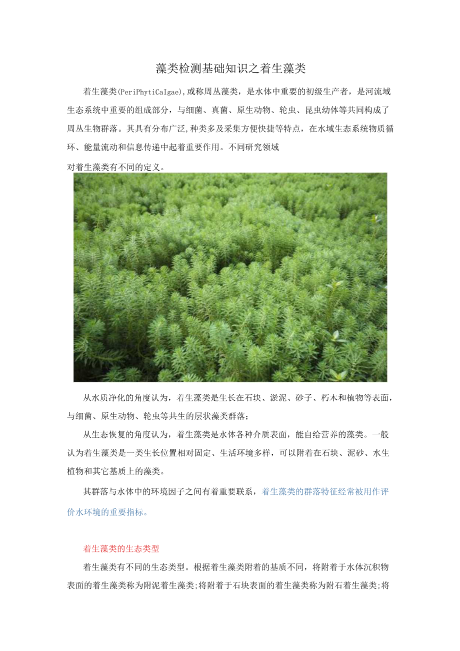 藻类检测基础知识之着生藻类.docx_第1页