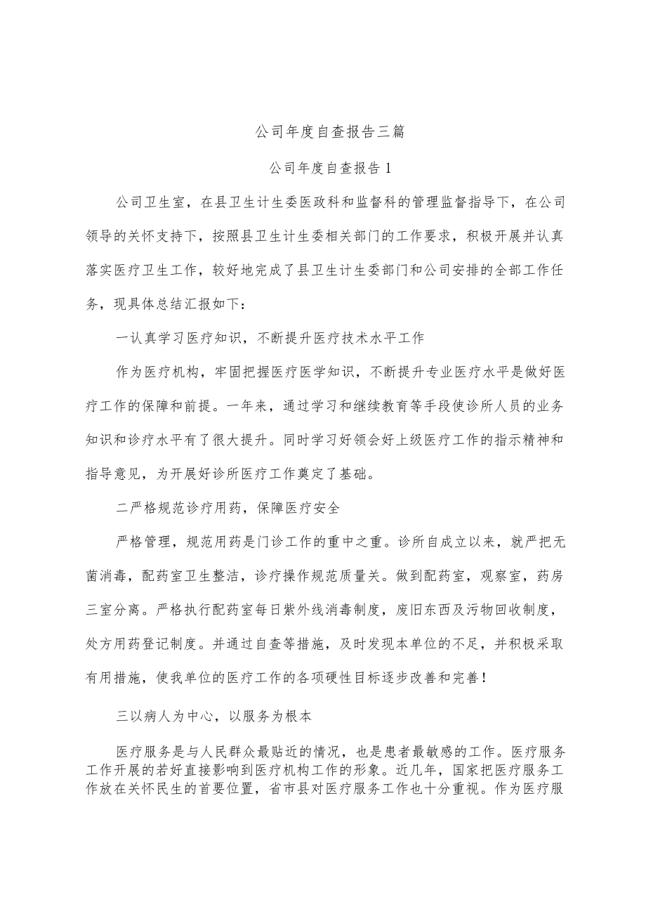 公司年度自查报告.docx_第1页