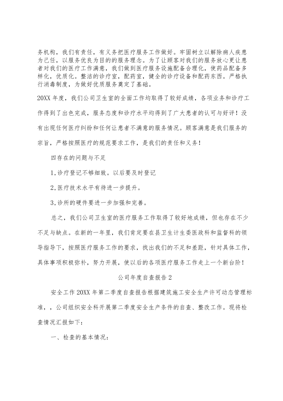 公司年度自查报告.docx_第2页