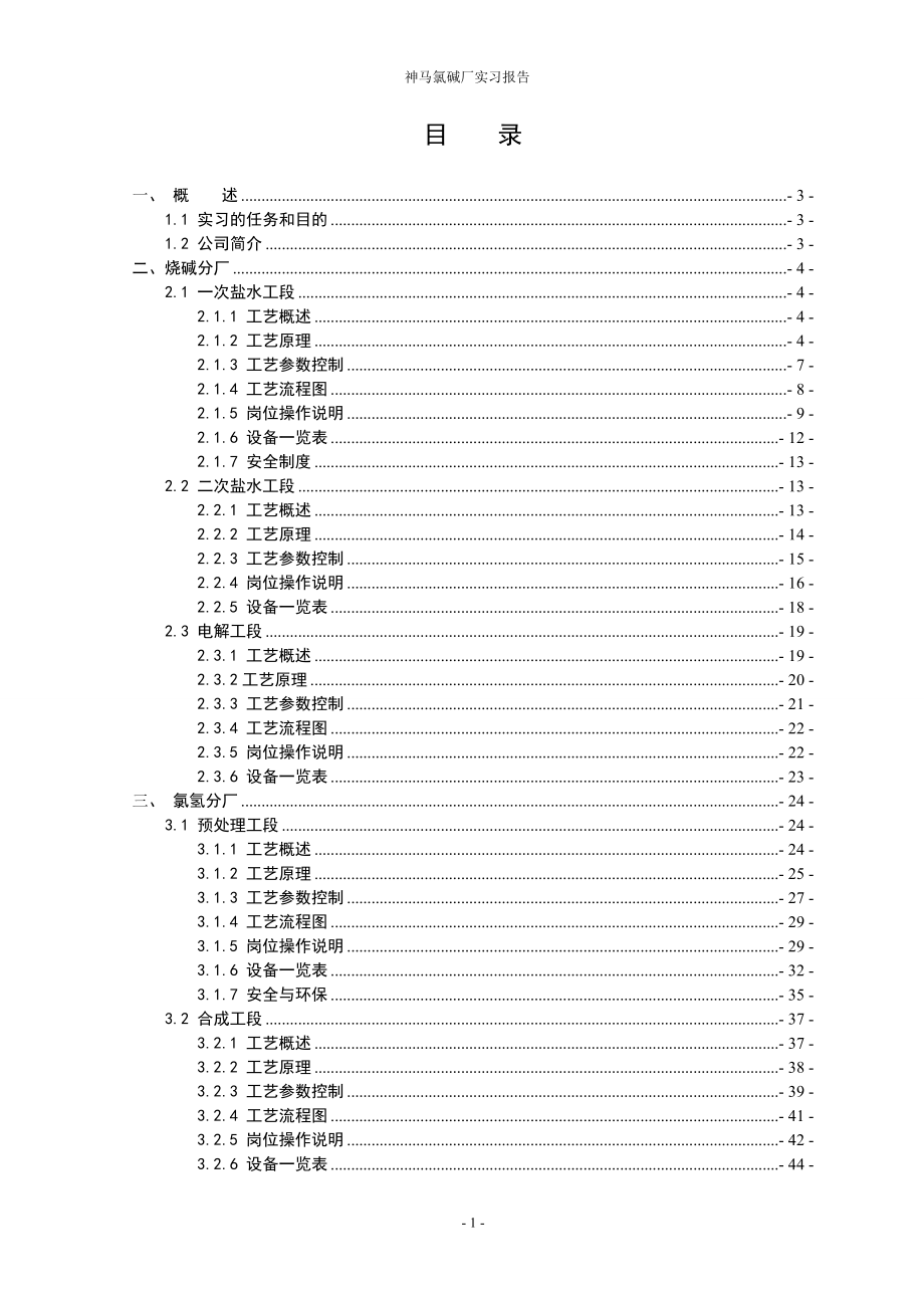 神马氯碱发展有限公司暑期社会实践报告.docx_第1页