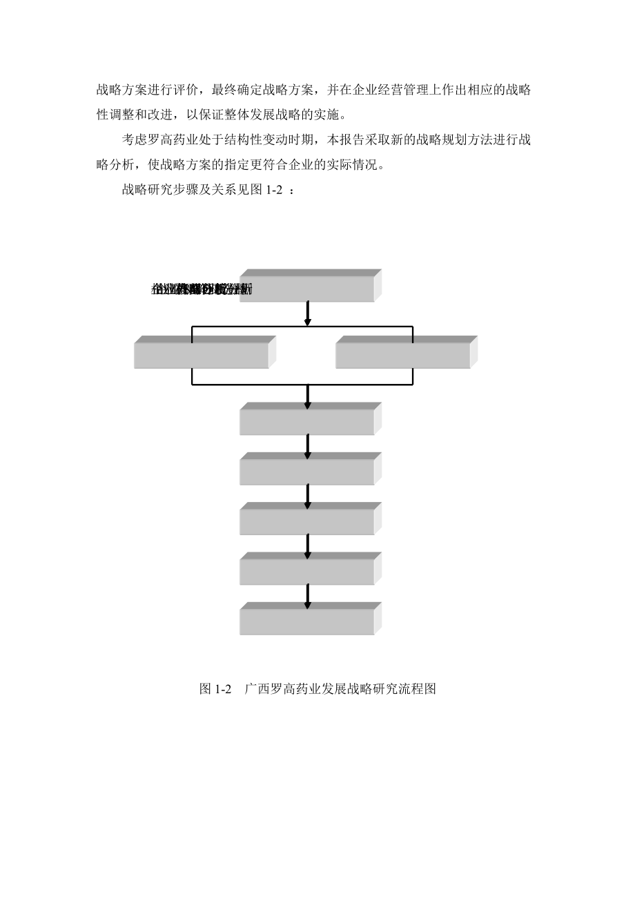 某药业有限公司发展战略研究报告.docx_第3页