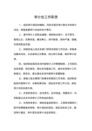 医院审计处工作职责.docx