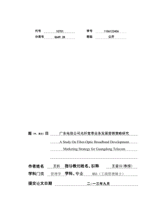 电信公司光纤宽带业务发展营销策略研究.docx