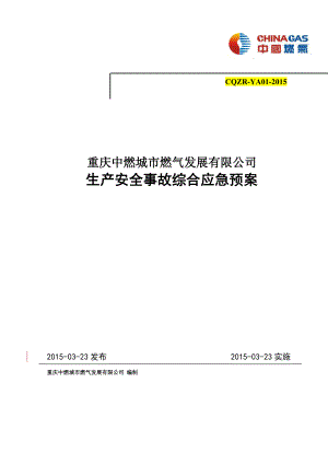 某燃气发展有限公司生产安全事故综合应急预案.docx