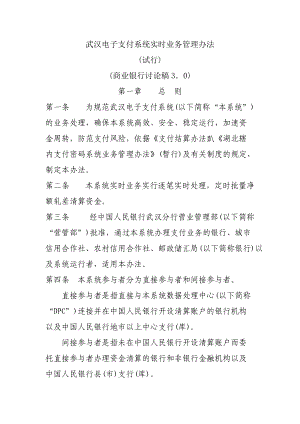 武汉电子支付系统实时业务管理办法(人行).docx