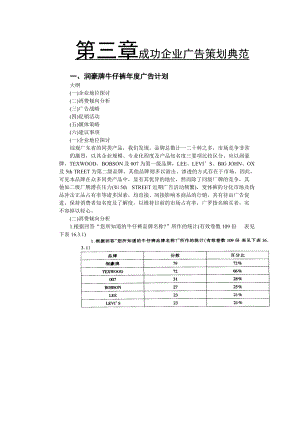 论成功企业广告策划典范.docx