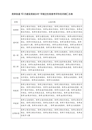 美林街道10月建设“美丽乡村”环境卫生检查考评存在问题汇总表.docx