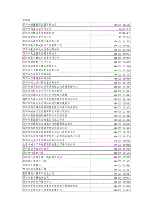 深圳市银隆投资发展有限公司.docx