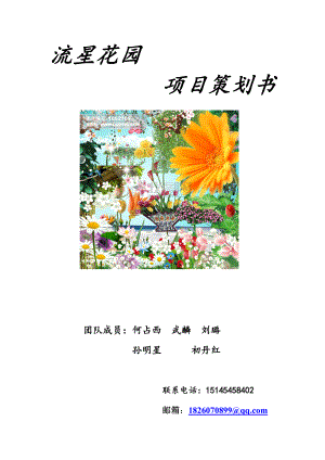 流星花园策划.docx