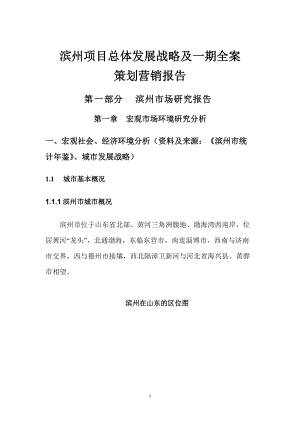 某项目总体发展战略及策划营销报告.docx