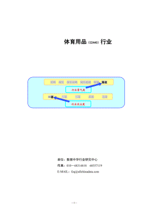 体育用品行业研究报告.docx