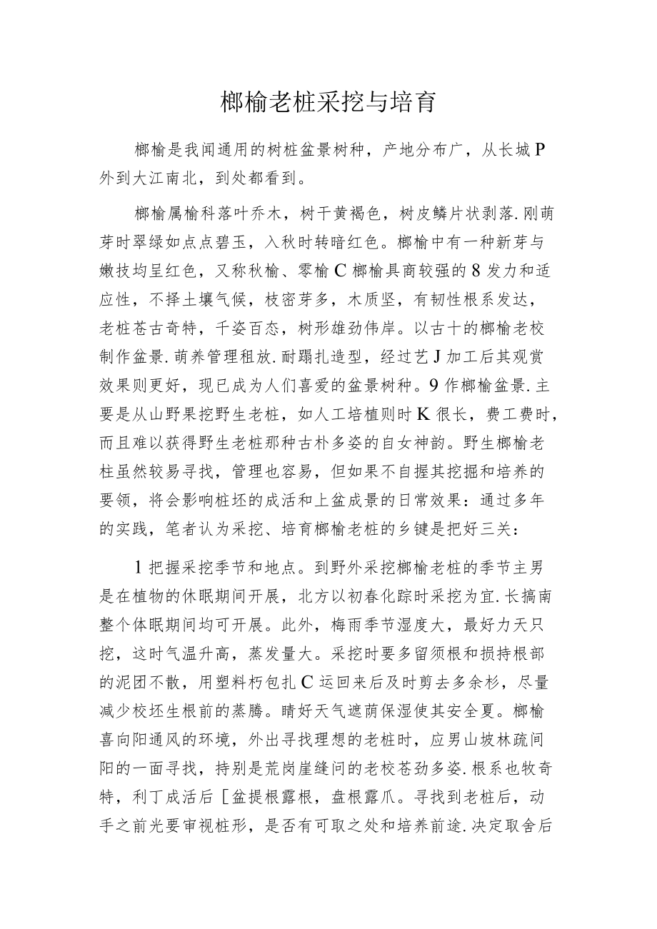 榔榆老桩采挖与培育.docx_第1页